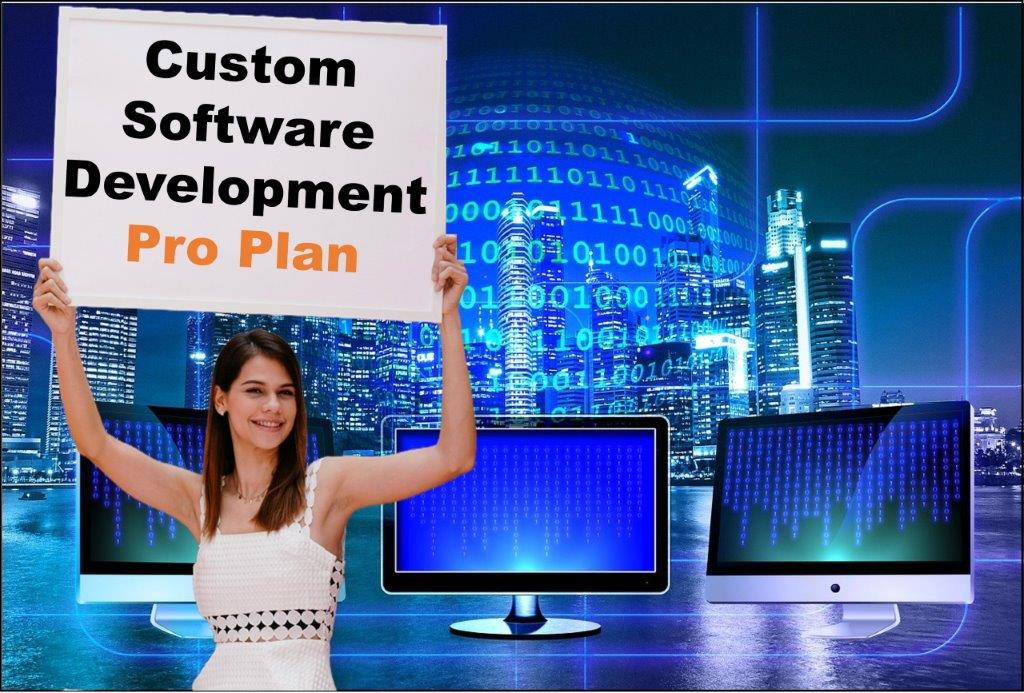 custom software development agency in Baton Rouge Louisiana