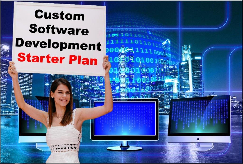 Custom Software Development in Baton Rouge Louisiana