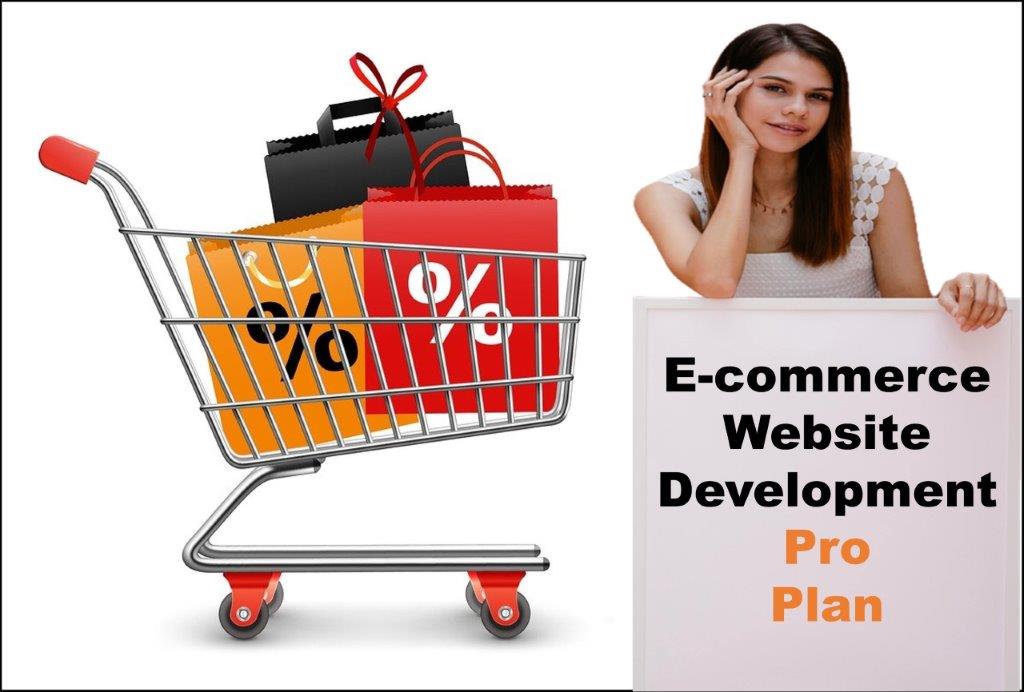 professional ecommerce website development agency in Baton Rouge Louisiana