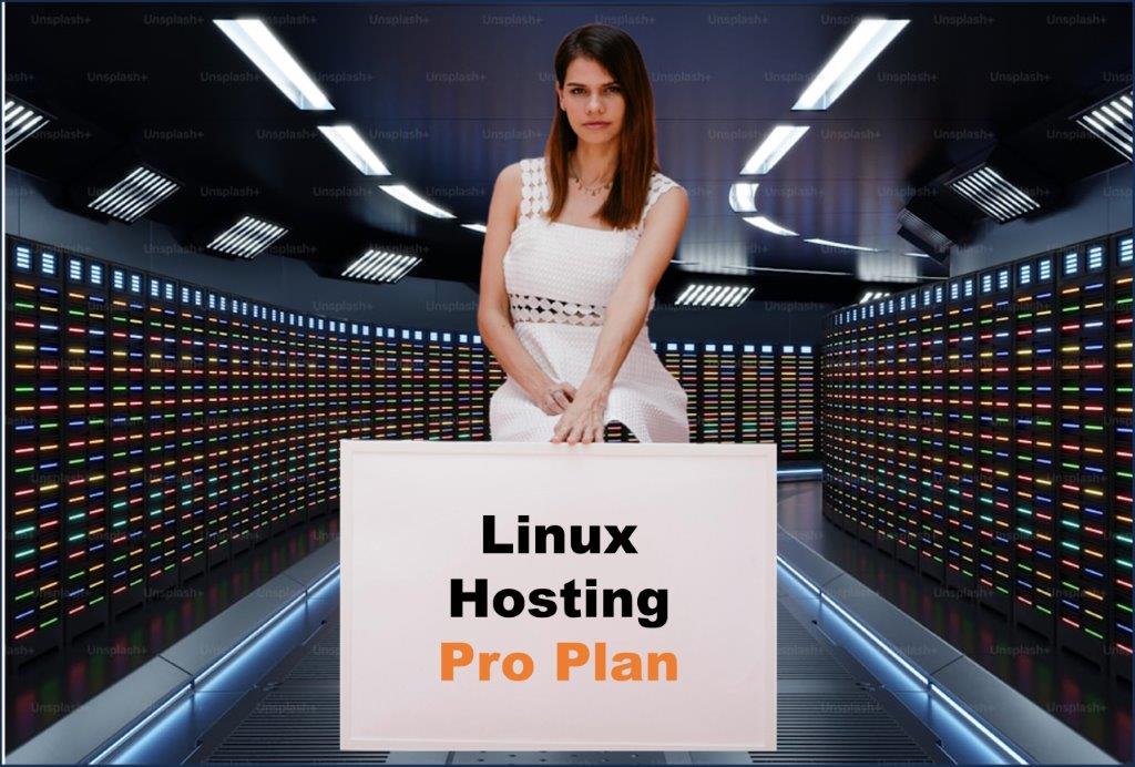 linux hosting windows hosting provider in Baton Rouge Louisiana