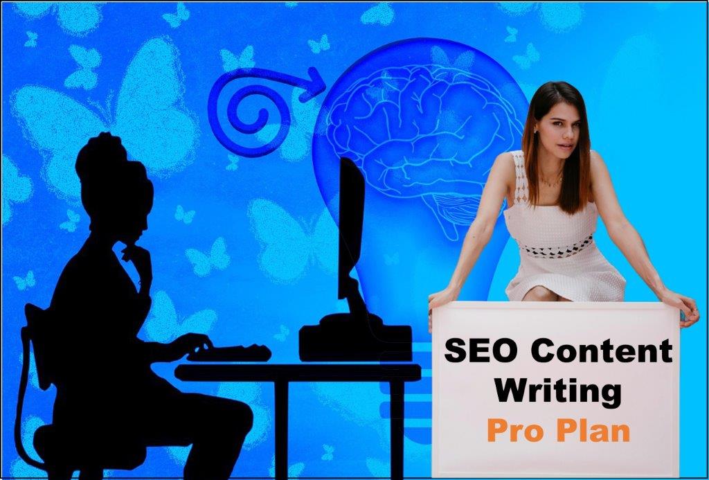 seo content writing agency Baton Rouge Louisiana