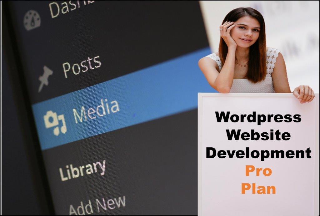 wordpress website designing in Baton Rouge Louisiana